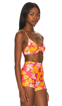Stone Fox Swim Conch Bikini Top in Orange