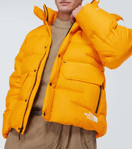 The North Face RMST Sierra parka