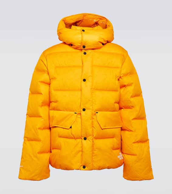 The North Face RMST Sierra parka