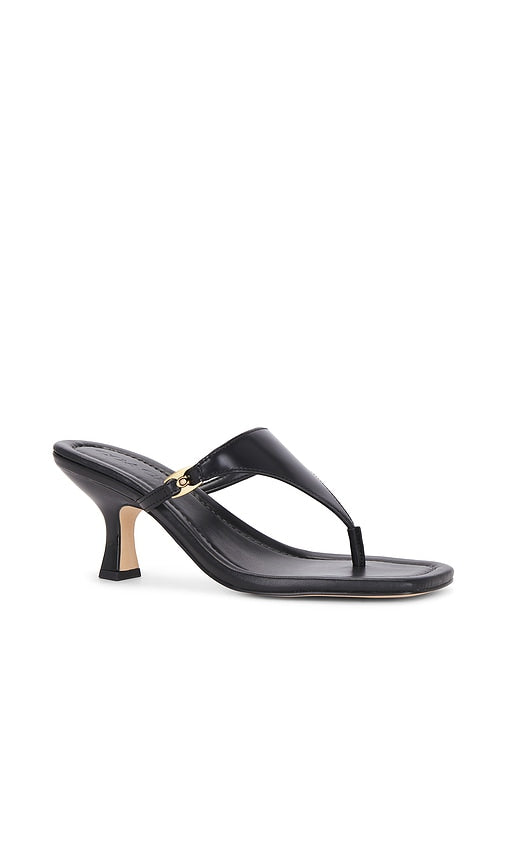 Coach Heritage Thong Sandal in Black