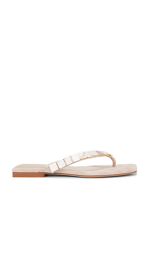 Jeffrey Campbell Raidne-SH Sandal in Beige | Beige Suede Flip Flop Sandals for Women