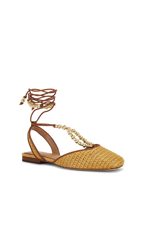 Sam Edelman Lily Flat in Brown