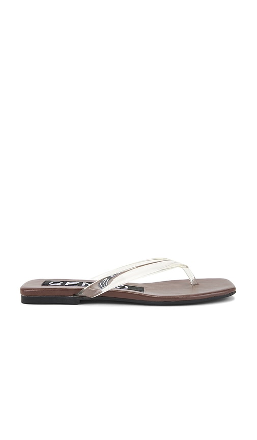 SENSO Hula Flip Flop in Brown | Oak Flat Sandals for Women