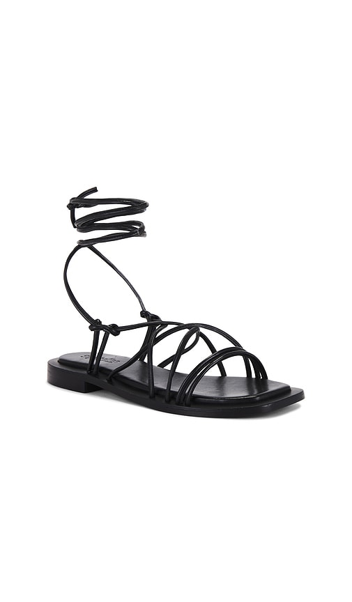 Seychelles Lilac Two in Black