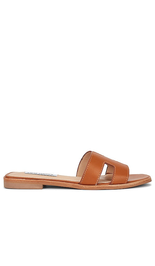 Steve Madden Hadyn Slide in Brown | Cognac Slides for Women