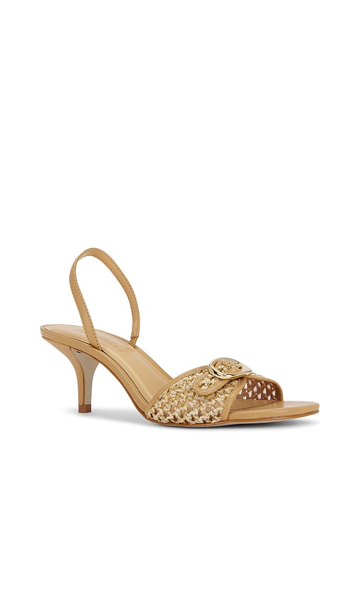 Steve Madden Henrietta Sandal in Brown