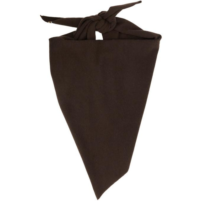 extreme cashmere Brown Cashmere Triangular Witch Scarf