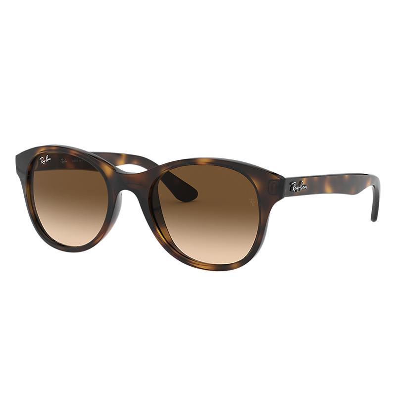 Ray-Ban Rb4203 Tortoise, Brown Lenses - RB4203-BlackSkinny